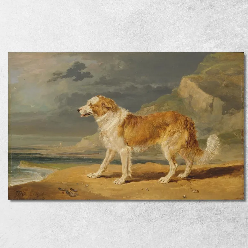 Collie A Pelo Ruvido James Ward quadro stampa su tela