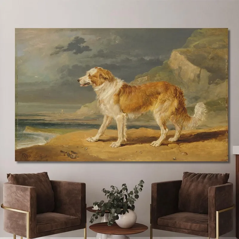 Rough-Coated Collie James Ward