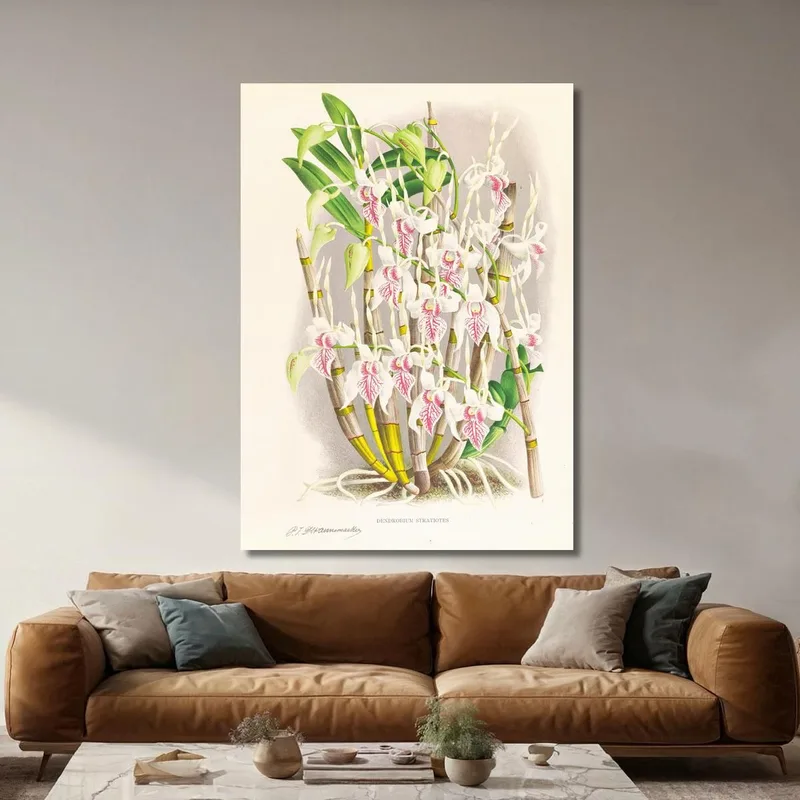 Botanische Illustrationen Dendrobium Stratiotes Jean Jules Linden
