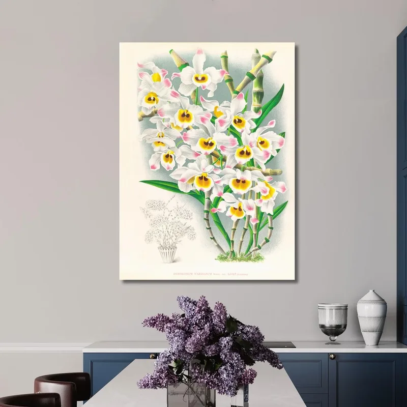Botanische Illustrationen Dendrobium Wardianum Jean Jules Linden