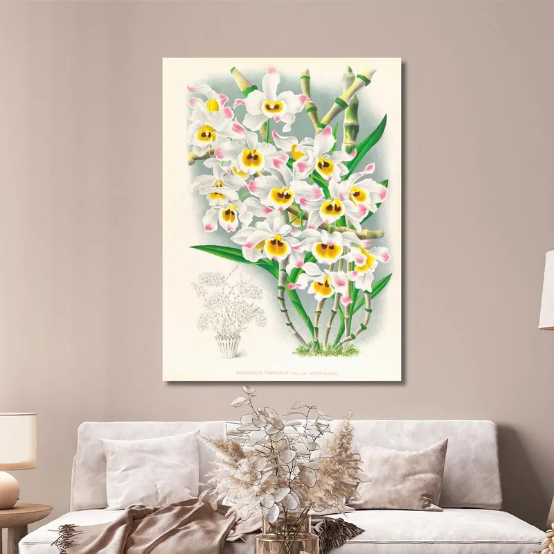 Botanische Illustrationen Dendrobium Wardianum Jean Jules Linden
