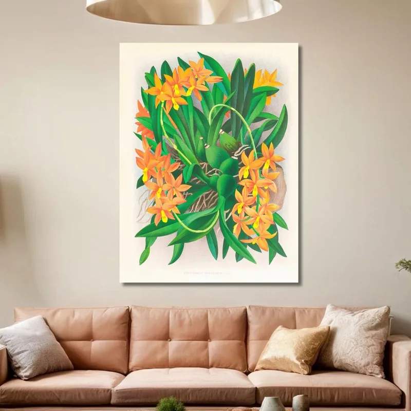 Ilustraciones Botánicas  Epidendrum Vitellinum Jean Jules Linden