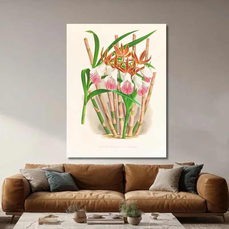 Botanische Illustrationen Galendra Devoniana Jean Jules Linden