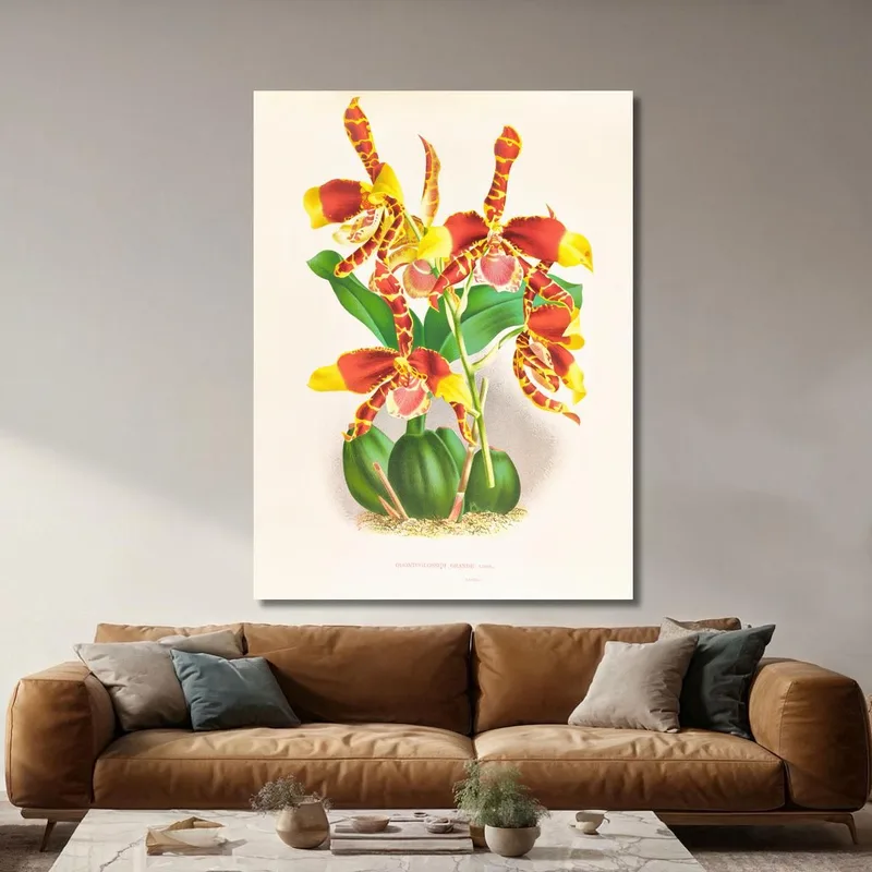 Botanische Illustrationen Odontoglossum Grande Jean Jules Linden
