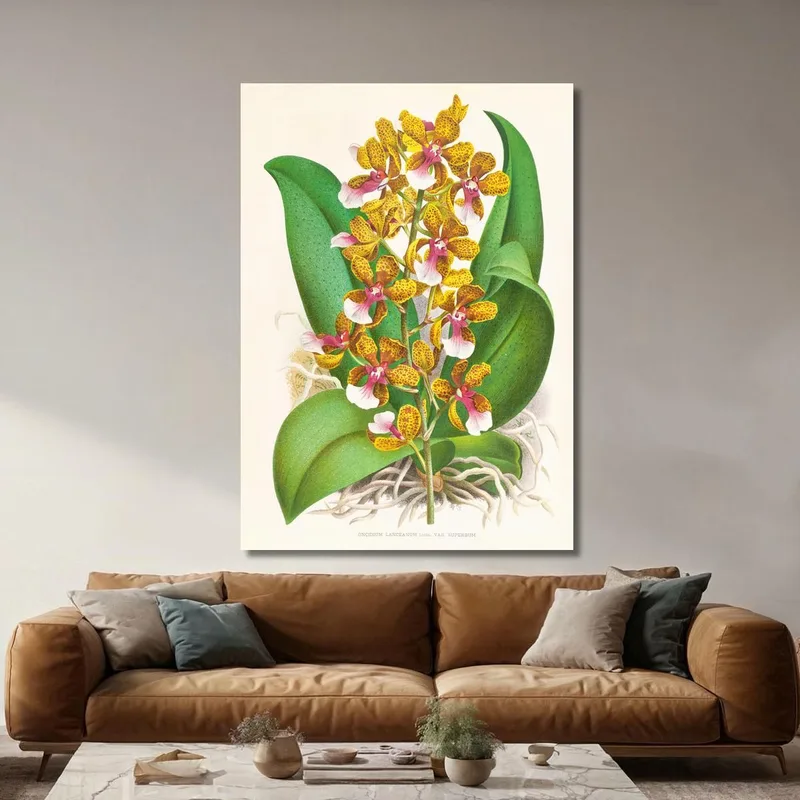 Botanische Illustrationen Oncidium Lannceanum Jean Jules Linden