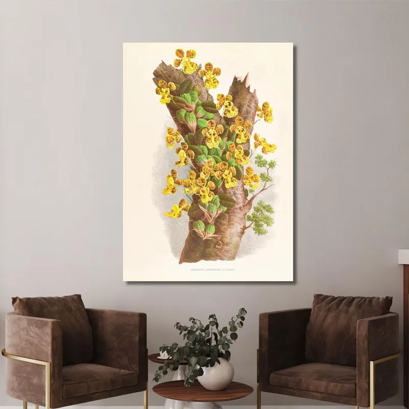 Botanische Illustrationen Oncidium Limminghei Jean Jules Linden