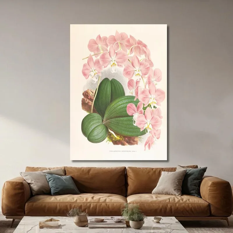 Botanische Illustrationen Phalaenopsis Sanderiana Jean Jules Linden