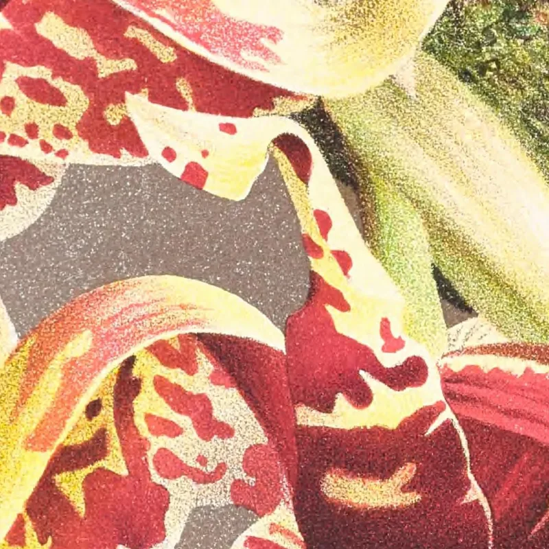 Botanische Illustrationen Stanhopea Tigrina Jean Jules Linden