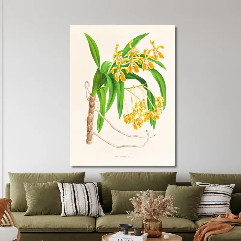 Botanische Illustrationen Vanda Lindeni Jean Jules Linden