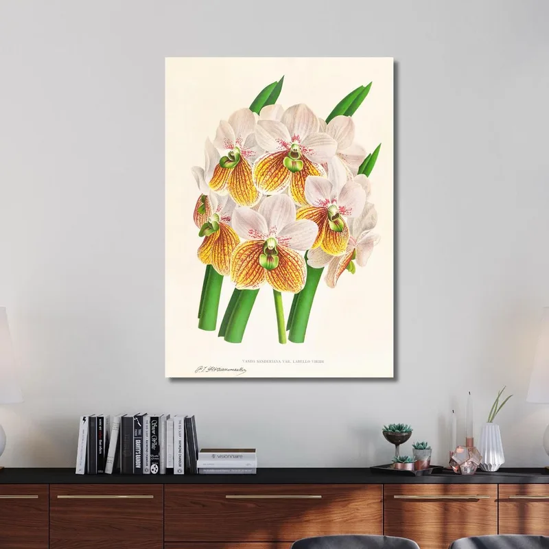 Botanische Illustrationen Vanda Sanderiana Var Labello Viridi Jean Jules Linden