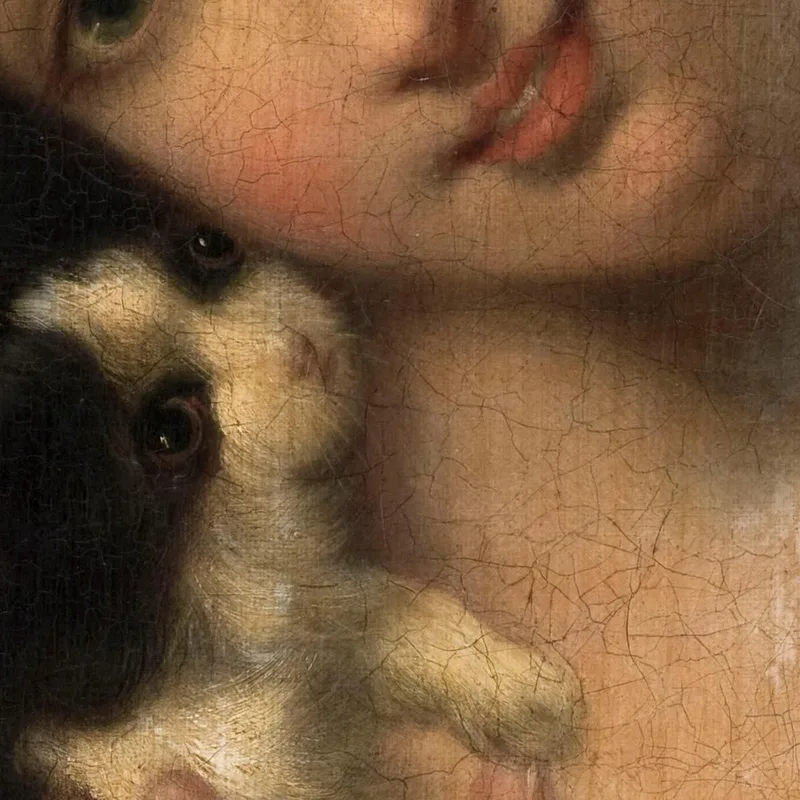 Young Girl With A Cat Jean-Baptiste Greuze