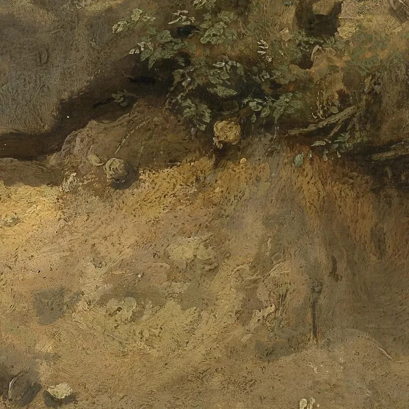 La Cantera De Chaise-Marie En Fontainebleau Jean-Baptiste-Camille Corot