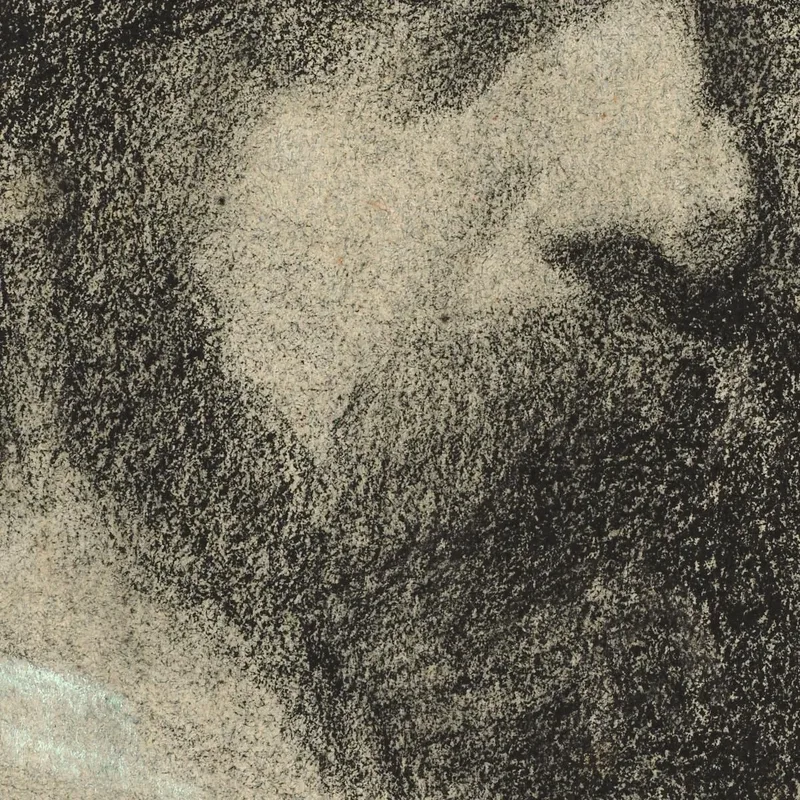 Portrait De Narcisse Virgile Díaz De La Peña Jean-François Millet