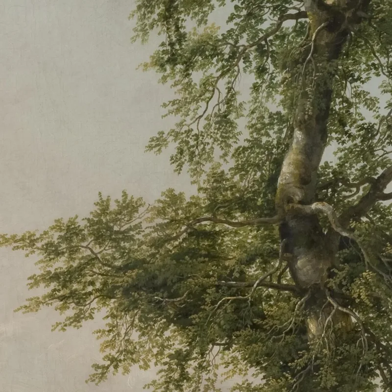 Paisaje Con Un Gran Árbol Johan Christian Dahl