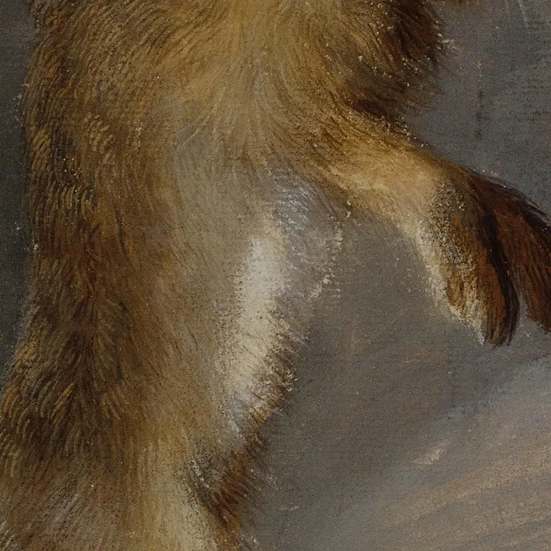 Studie Eines Hasen Johann Peter Krafft