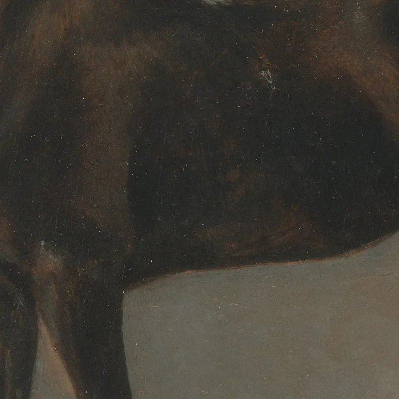Golding Constable'S Black Riding-Horse John Constable