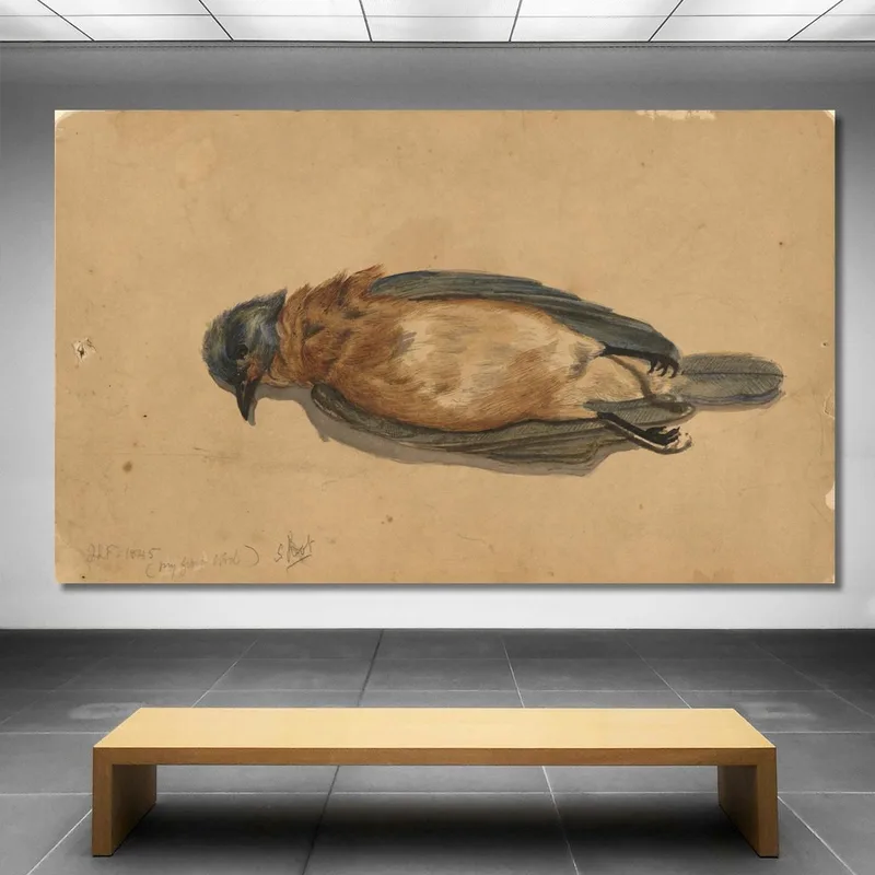 Dead Bird John La Farge