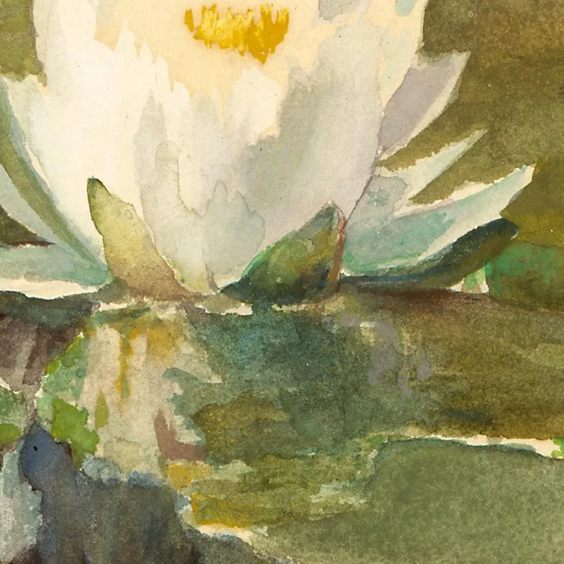 Water Lily In Sunlight John La Farge