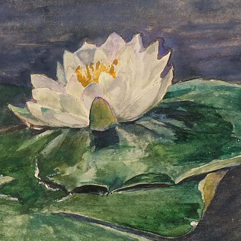 Seerose John La Farge