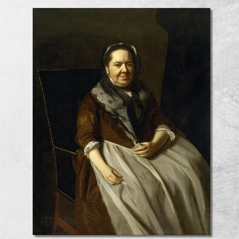 Ritratto Della Signora Paul Richard John Singleton Copley quadro stampa su tela