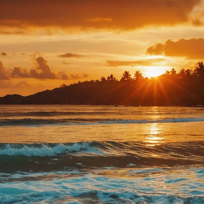 Peinture Paysage Marin Plage Tropicale Au Coucher Du Soleil Avec Palmiers Et Vagues