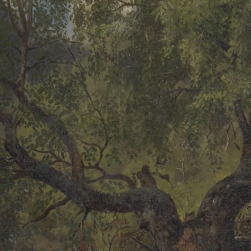 Estudio De Bosque En Numedal Adolph Tidemand