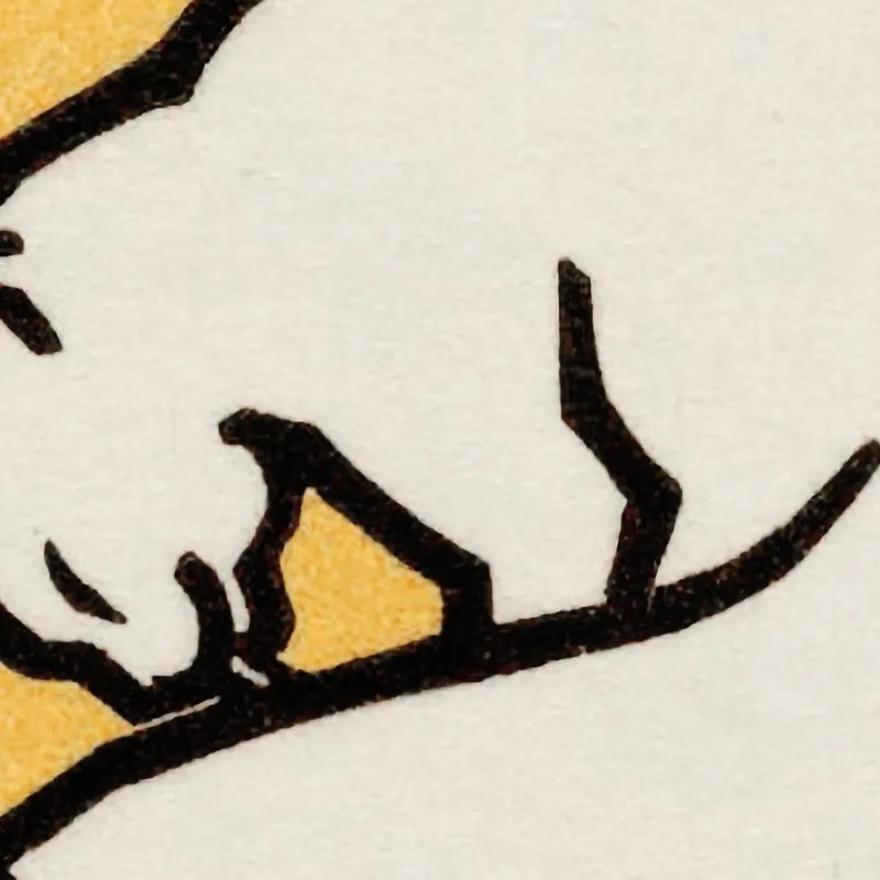 A Waxing Cat Julie de Graag