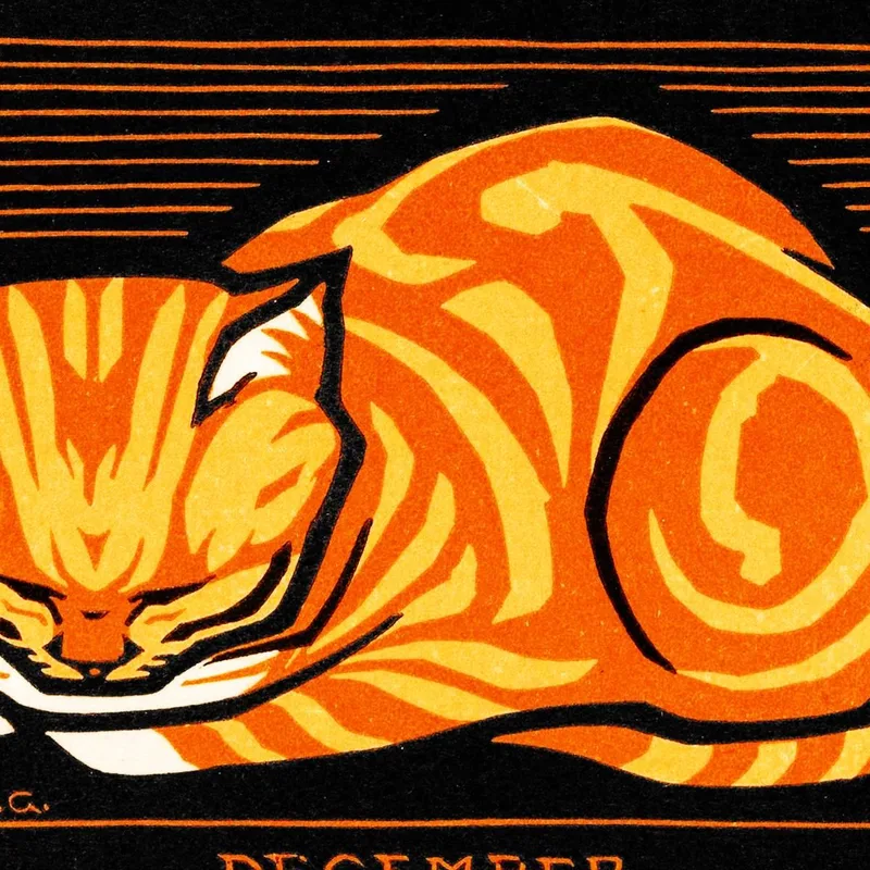 December Cat Julie de Graag