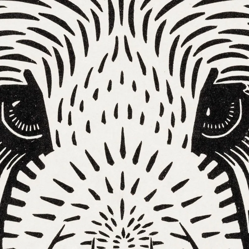 Dog'S Head Julie de Graag