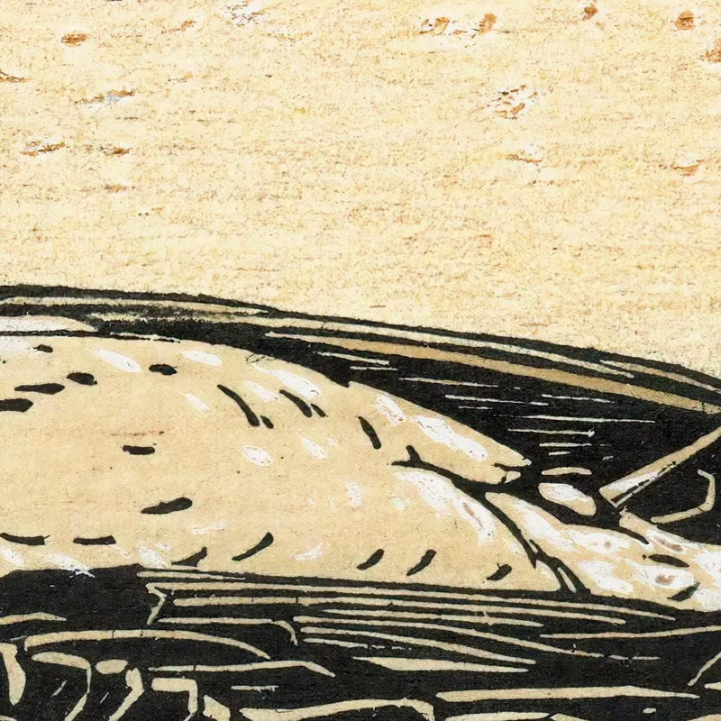 Oiseau Mort Julie de Graag