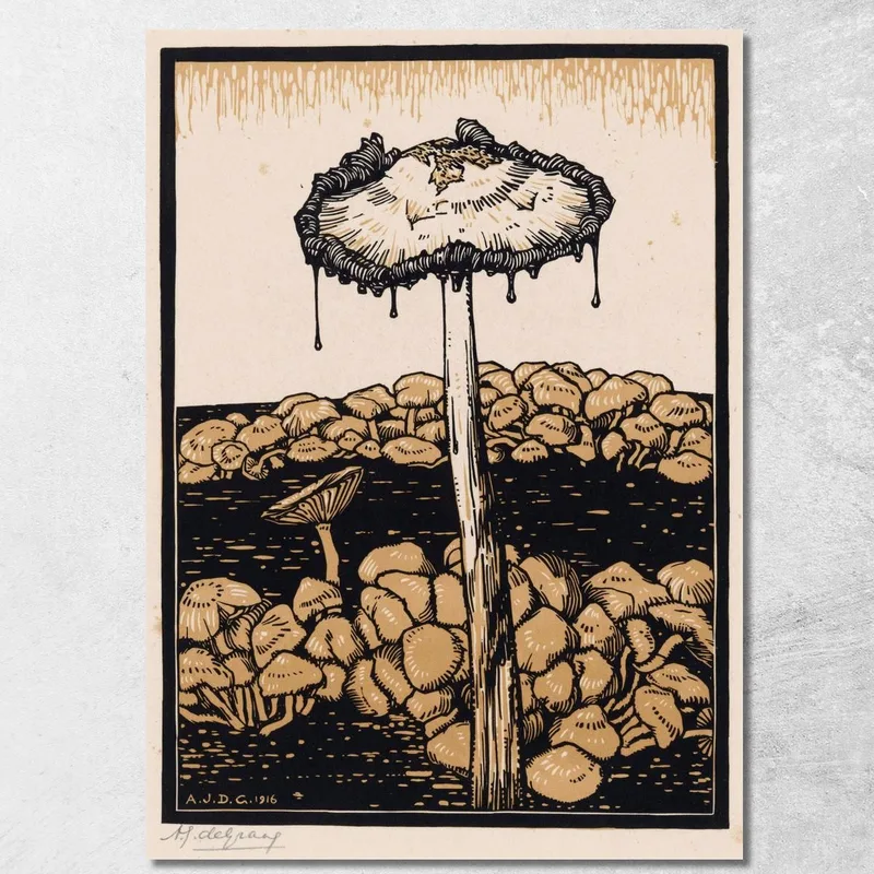 Fungo Gocciolante Julie de Graag quadro stampa su tela