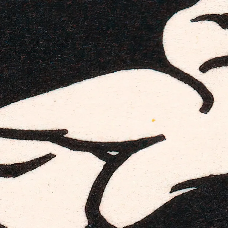 Duck Julie de Graag