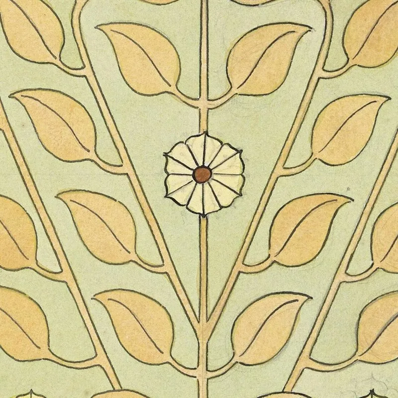 Conception D'Une Couverture Pour Un Herbier Julie de Graag