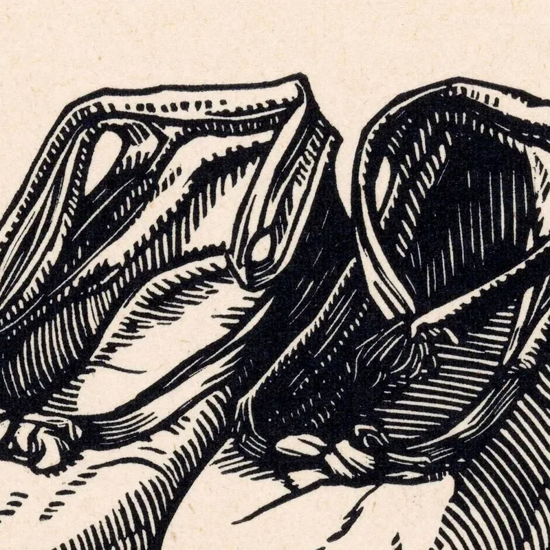 Paar Schuhe Julie de Graag