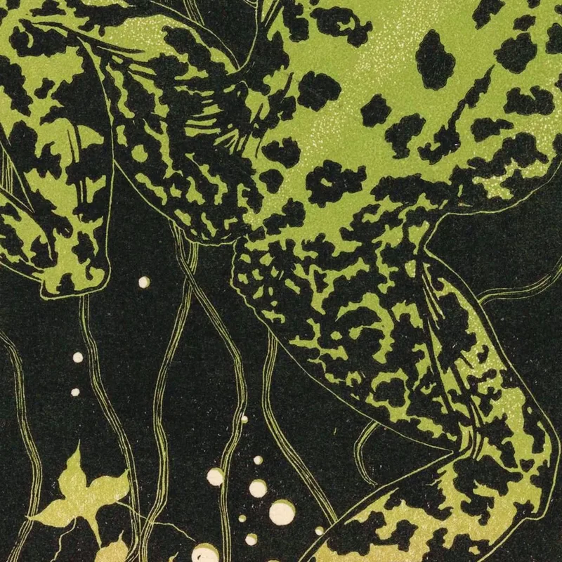 Schwimmender Frosch Julie de Graag