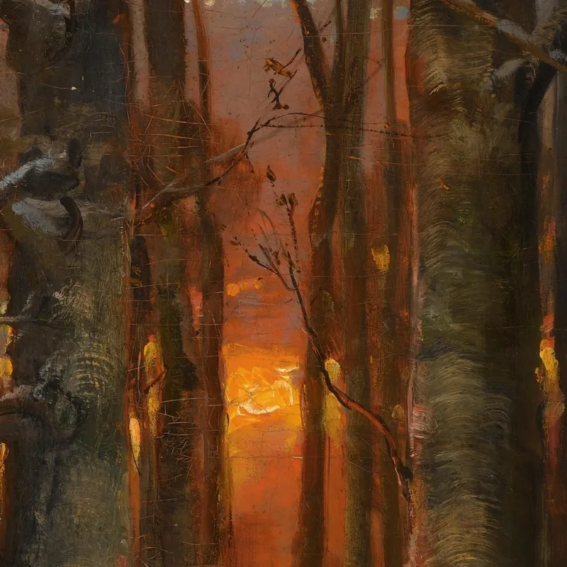 Coucher De Soleil À Travers Les Arbres Julius Sergius Klever