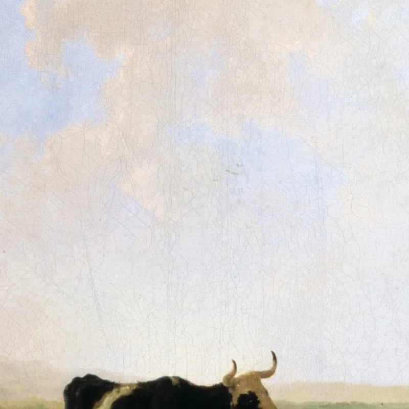 Mandriani Con Mucche Aelbert Cuyp