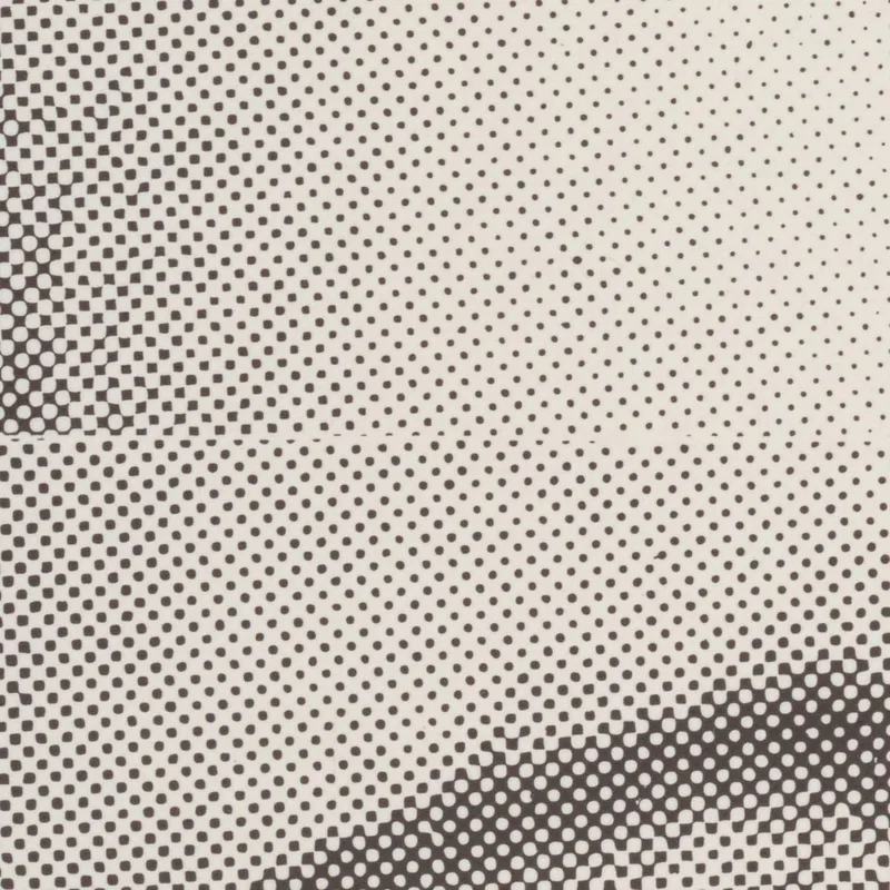 Exposition De La Faculté De L'École Des Arts Visuels Lanny Sommese