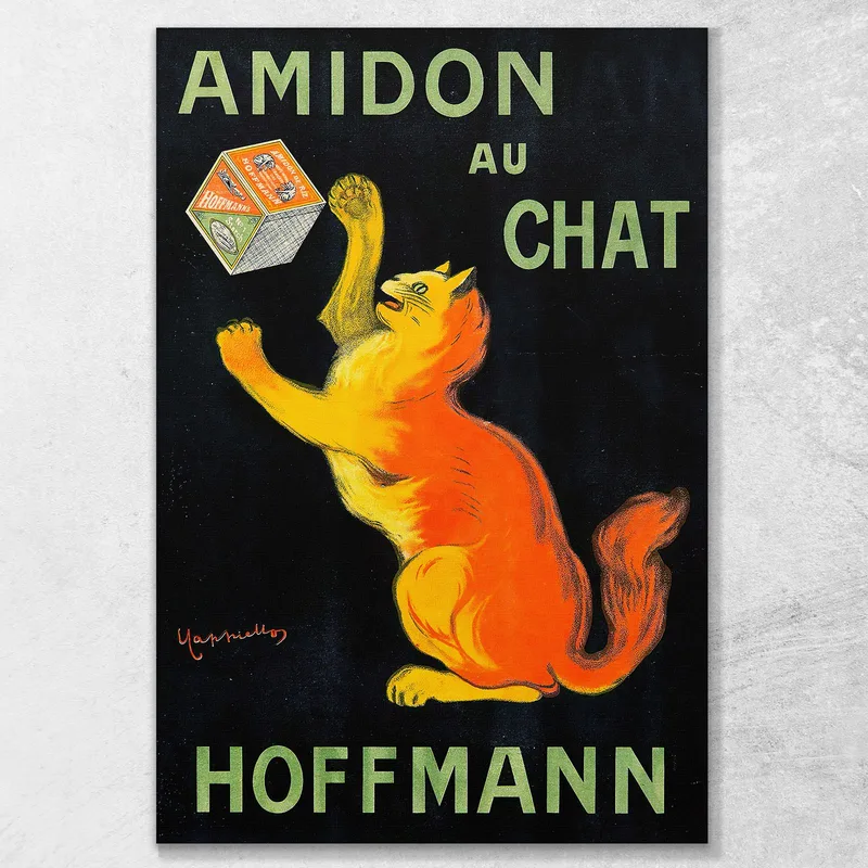 Amido Di Gatto Leonetto Cappiello