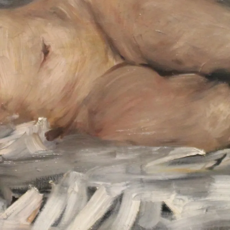 Liegender Weiblicher Akt - Kunsthalle Bremen - 1899 Lovis Corinth