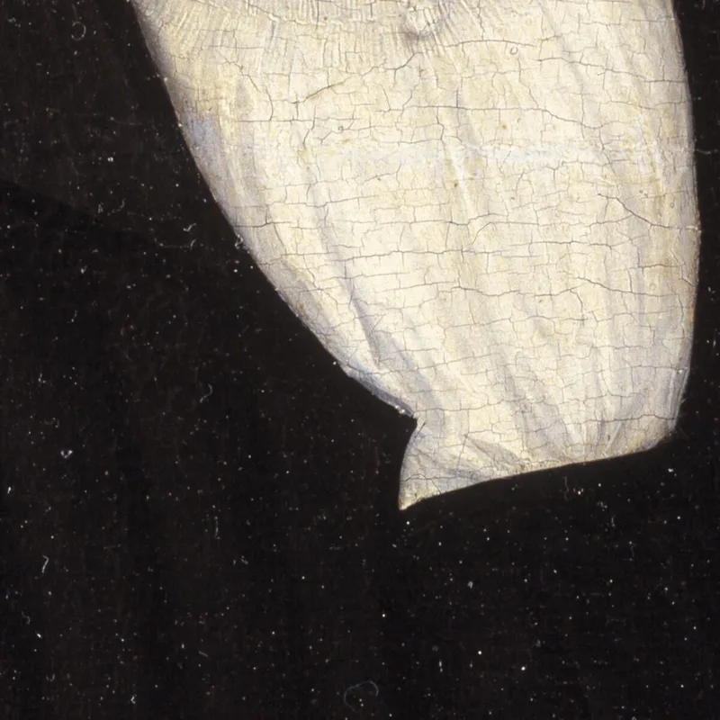 Portrait Of A Man 2 Lucas Cranach the Elder
