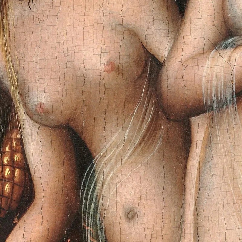 Il Giudizio Di Paride 2 Lucas Cranach the Elder