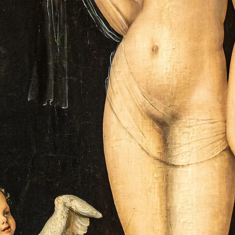 Venus Und Amor Lucas Cranach the Elder