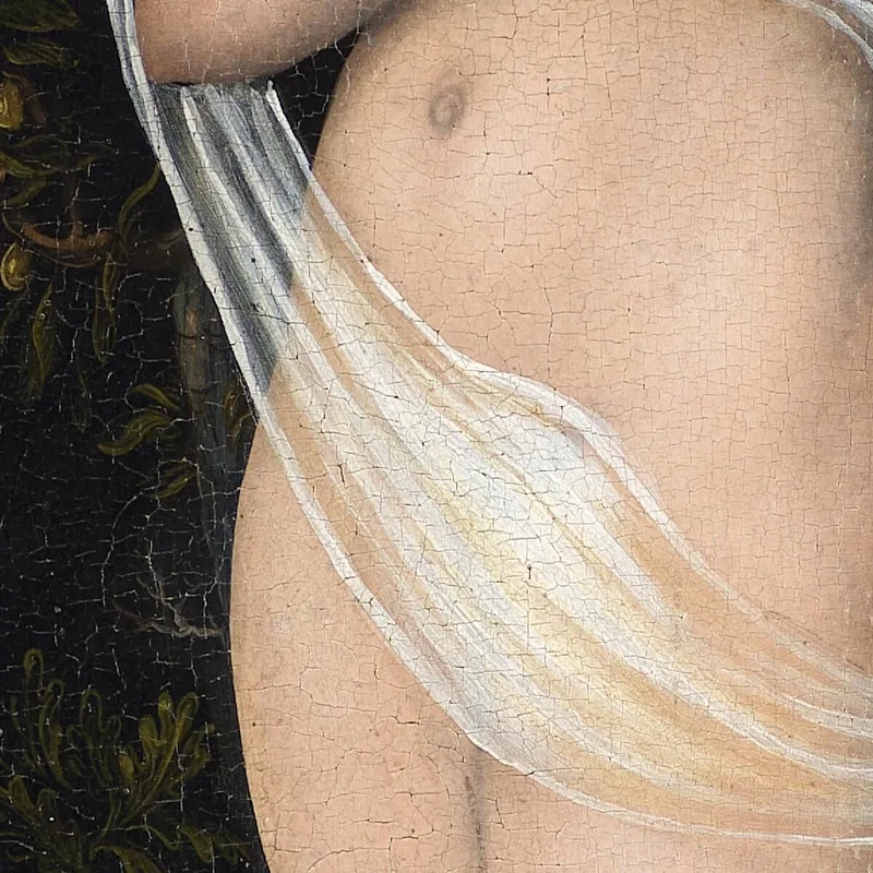 Vénus Avec Cupidon Volant Du Miel Lucas Cranach the Elder