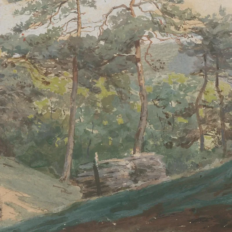 Valle Forestale Con Tronchi D'Albero Ľudovít Čordák