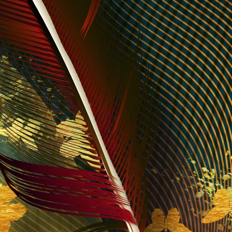 Colorful Feathers with Butterflies modern canvas