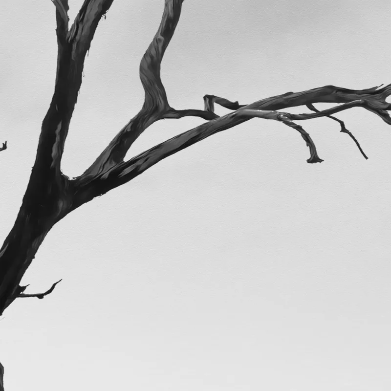 Kunstdruck schwarzer baum und farbige steine
