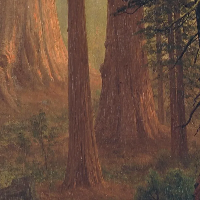 Sequoie Giganti Della California Albert Bierstadt quadro stampa su tela