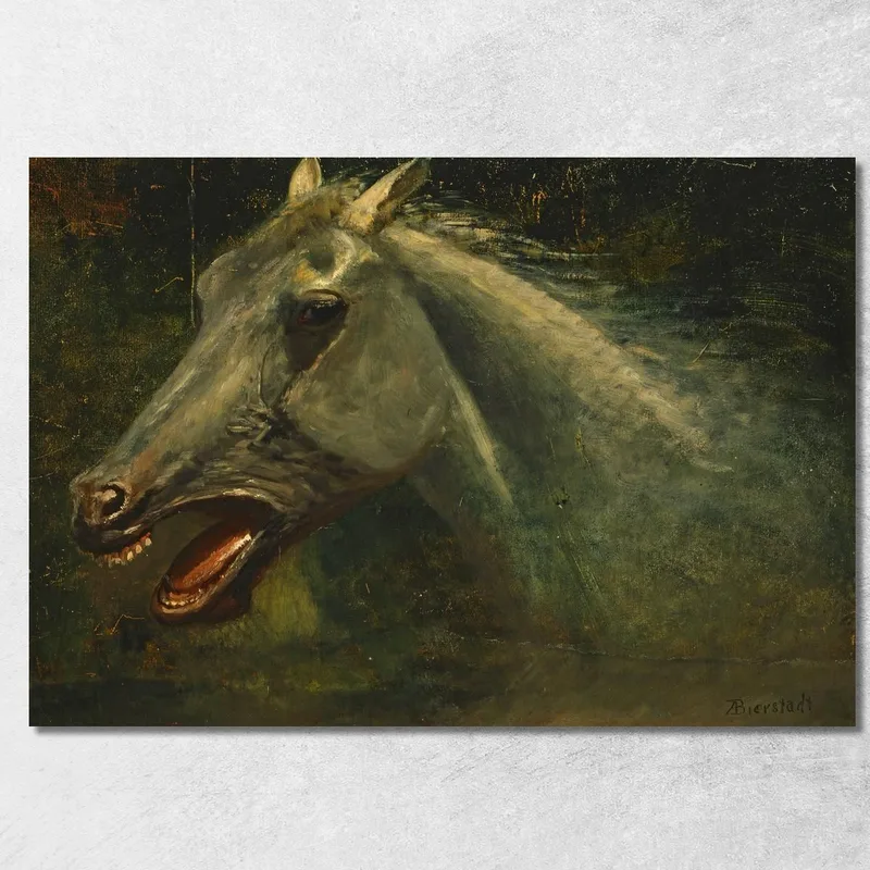 A Wild Stallion Uno Schizzo Ad Olio Originale Per The Last Of The Buffalo Albert Bierstadt quadro stampa su tela