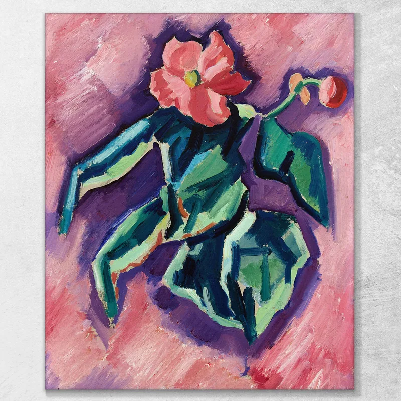 Bégonias Roses Marsden Hartley